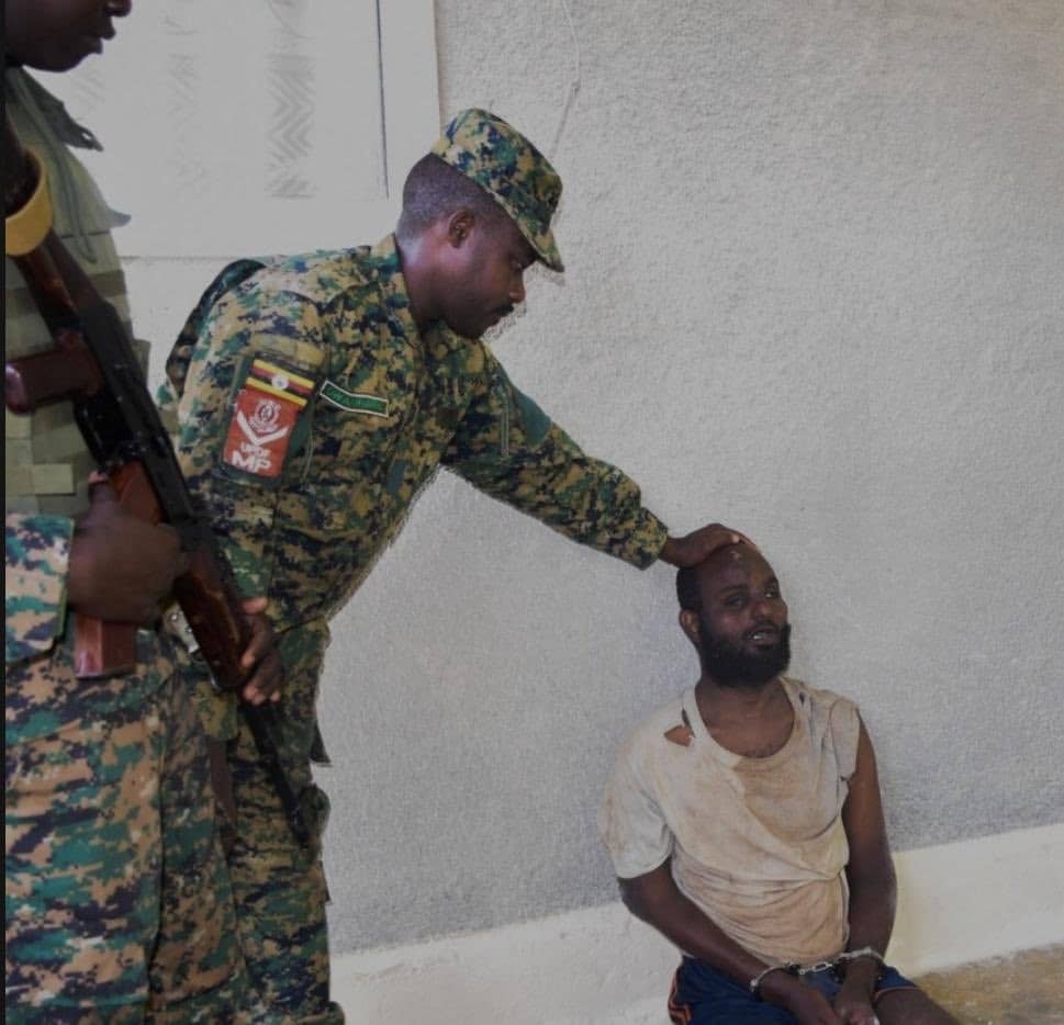 The Lens Reports tweet media