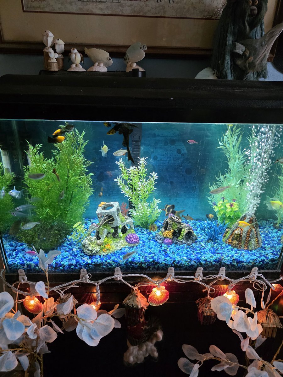 Tekqueen's tweet photo. Just keep swimming lol https://t.co/GQfSOnh78H
