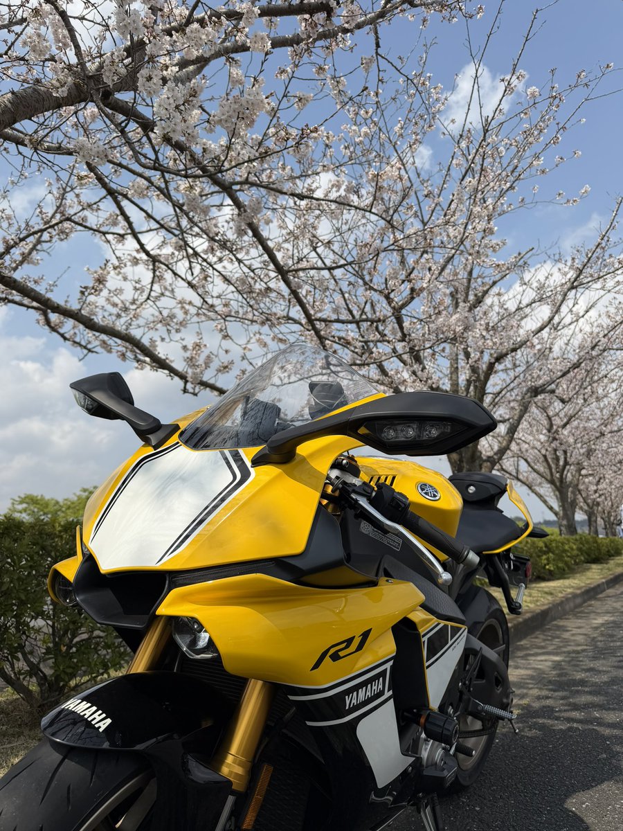 えりっく tweet media