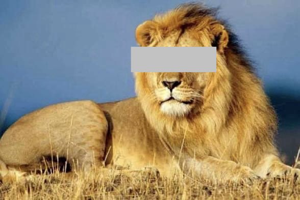 BiigTeemz🪖🦅 tweet media