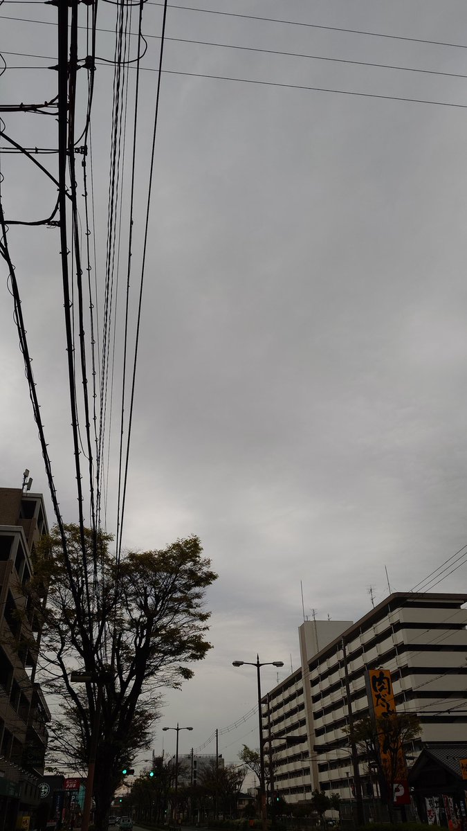 マーシー🤓🌱✨❤️2nd tweet media