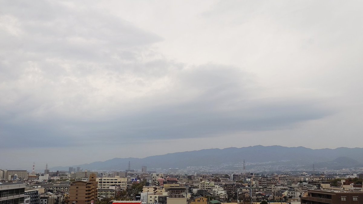 マーシー🤓🌱✨❤️2nd tweet media