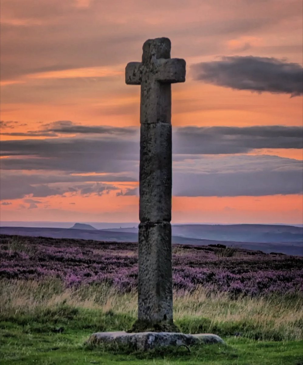 North Yorkshire tweet media