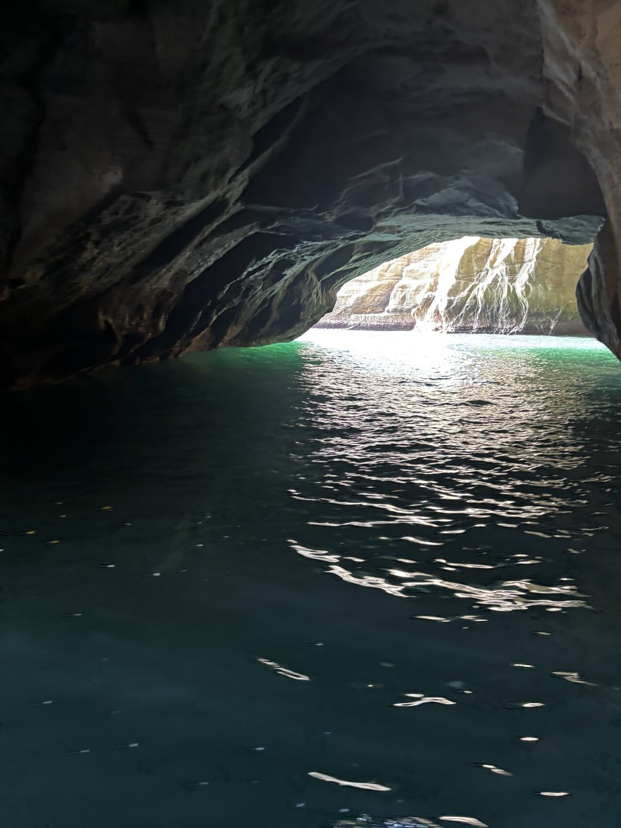 こうもりちゃん🦇💕 tweet media