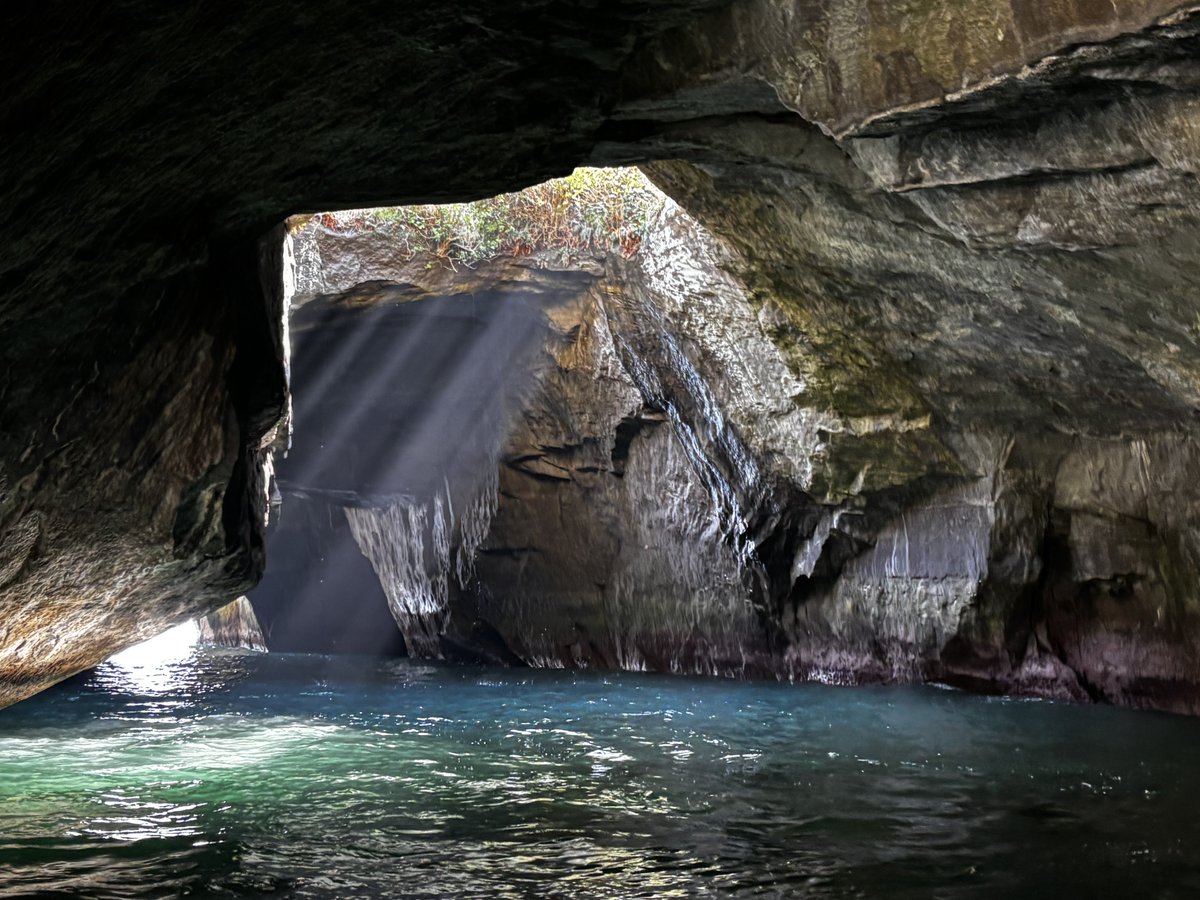 こうもりちゃん🦇💕 tweet media