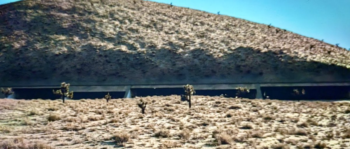 Bugs Finds Bigfoot 👣🪶 tweet media