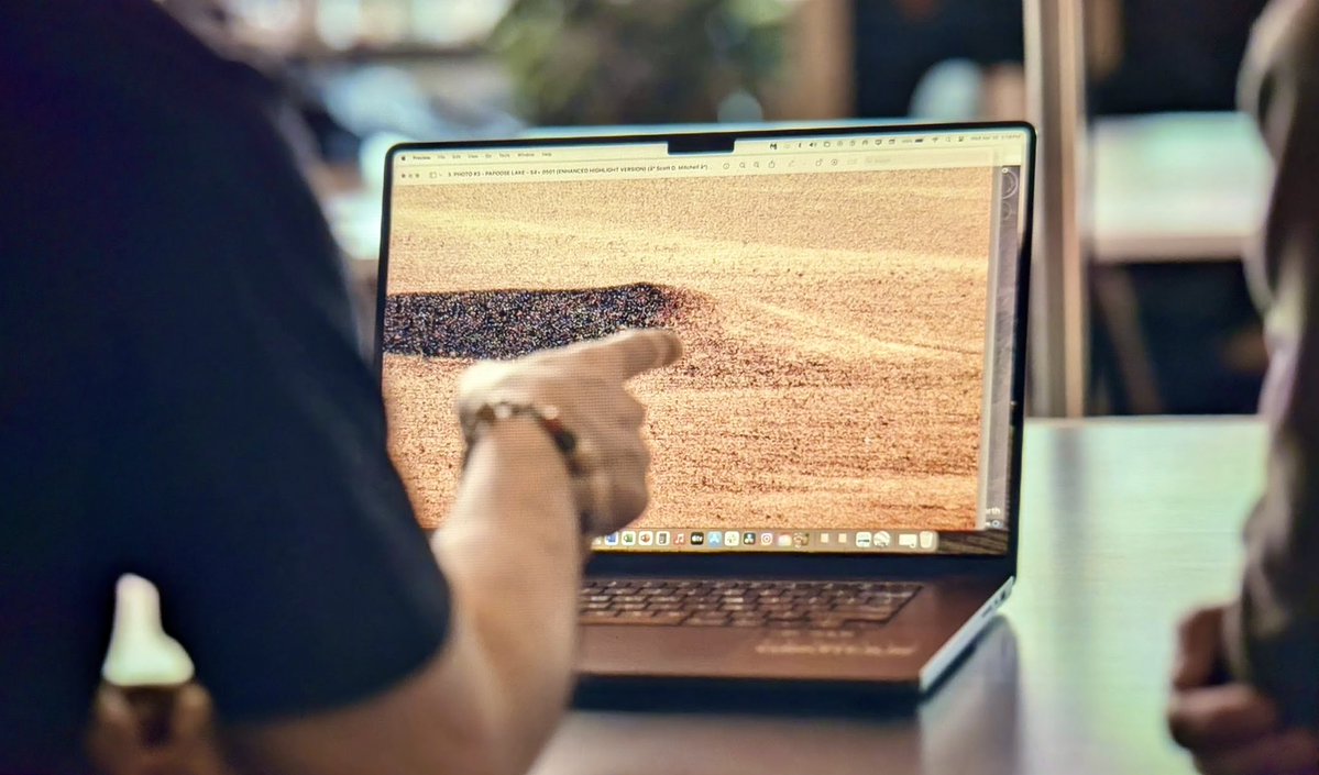 Bugs Finds Bigfoot 👣🪶 tweet media