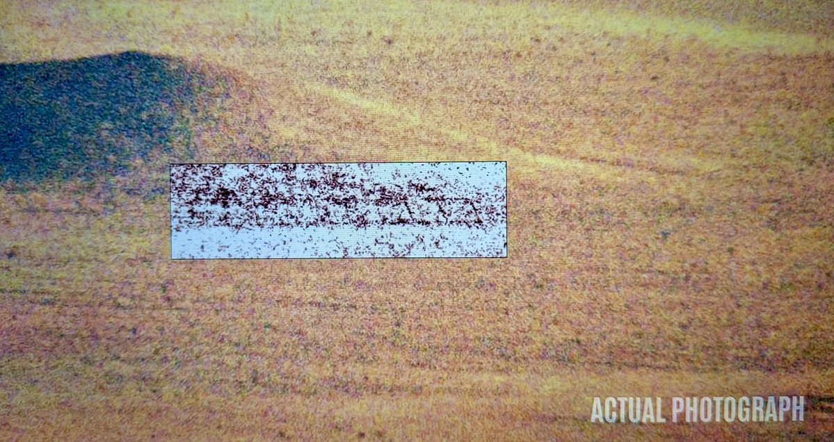 Bugs Finds Bigfoot 👣🪶 tweet media