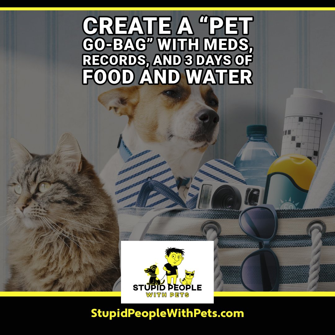 speoplewithpets's tweet image. 🚨 Create a “pet go-bag” with meds, records, and 3 days of food and water.

The Best Pet Podcasts: stupidpeoplewithpets.com

☀️ Ready for emergencies, evacuations, or last-minute vet trips.

#PetEmergency #DisasterPrep #ResponsiblePetOwner #PetSafety #PetPr...