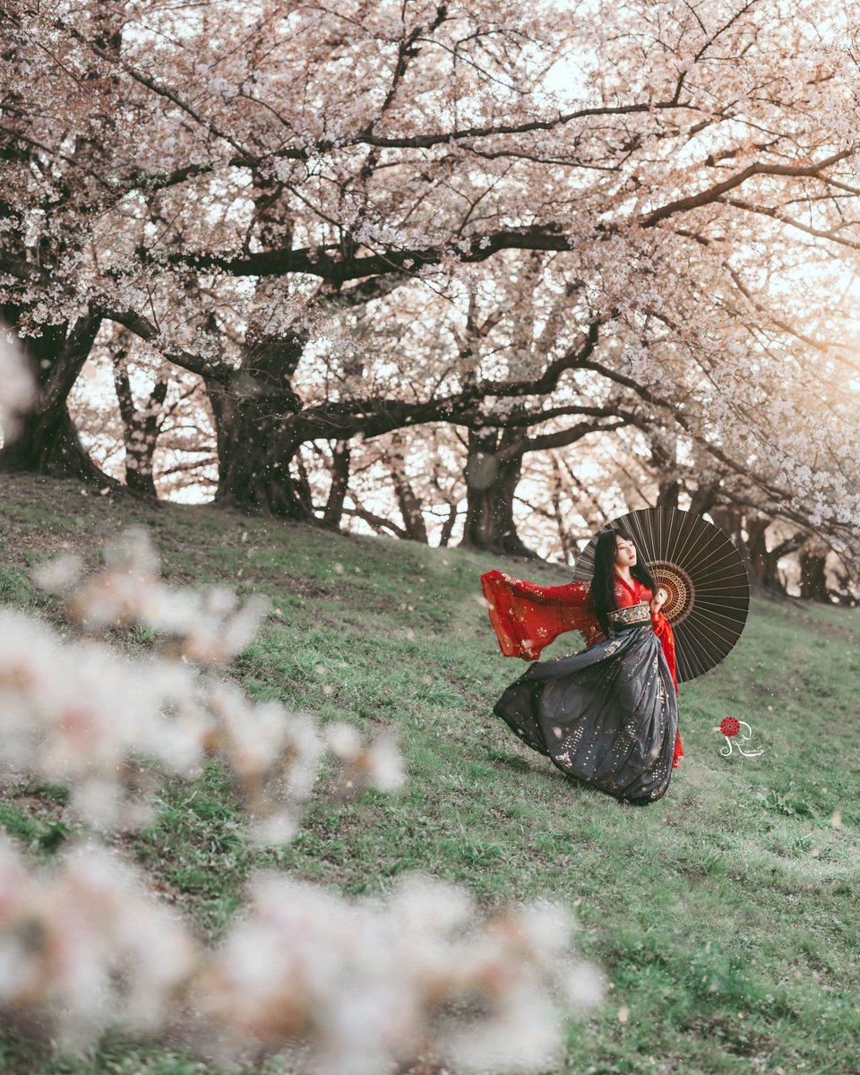 Rinaty🐔セルフポートレート写真家 tweet media