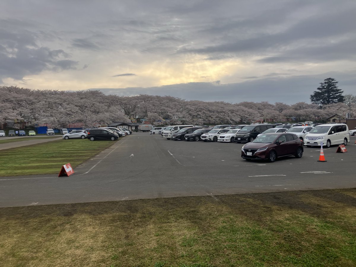 satteman's tweet photo. 今朝7時頃の権現堂！
昨日満開だったのかな？
#権現堂　#桜　#幸手市 https://t.co/HiZ2DTv56I
