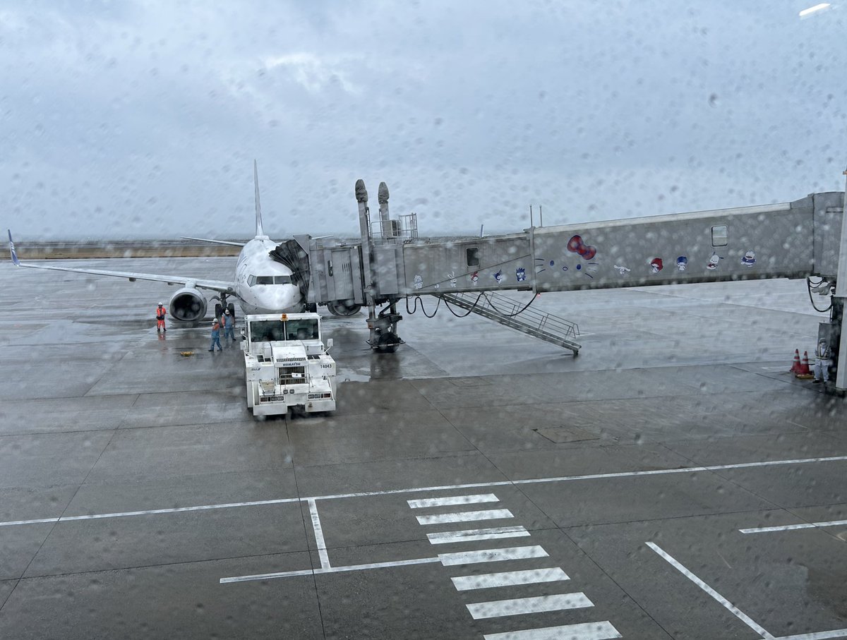 ひめっち☆ワンオク国立2Days最高の思い出🌏&🌃✨☮️ tweet media