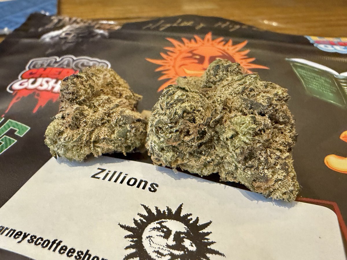 Wombat_Mätt ✭ tweet media