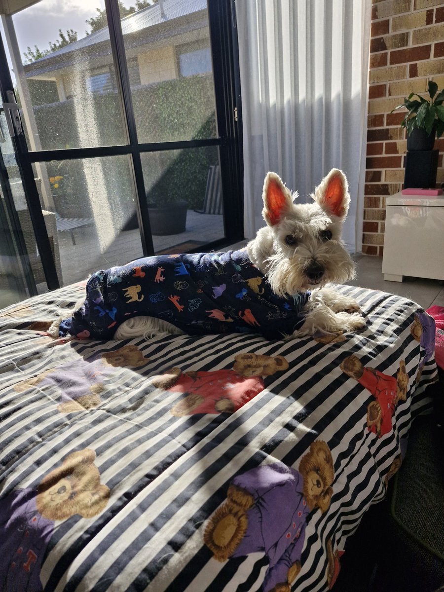 Maggie giver of hugs & goodwill. tweet media