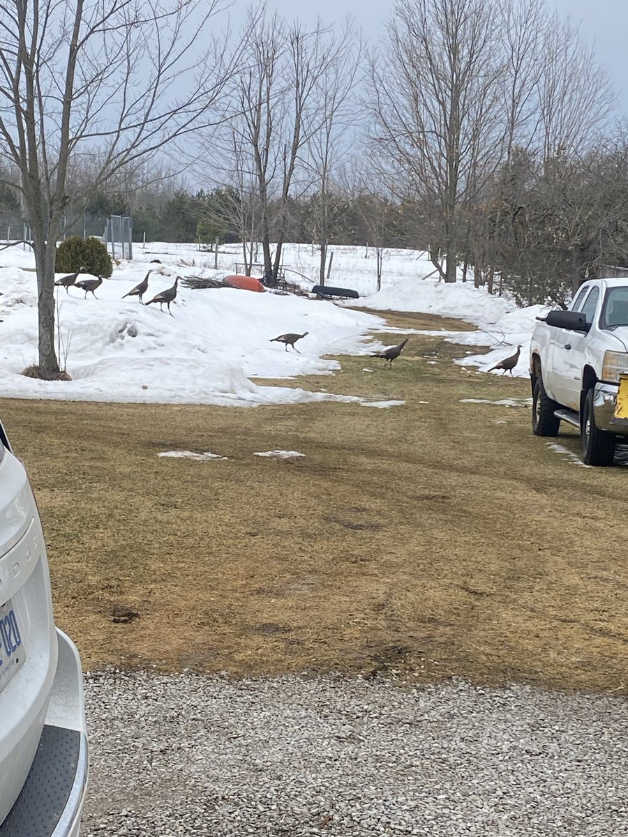 I’m 1 of the Yobs tweet media