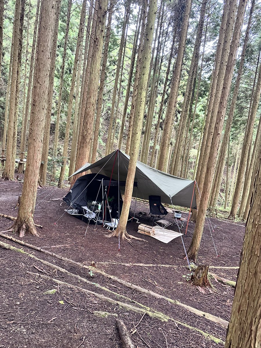 とりこさん@SSTR2026参加予定 tweet media