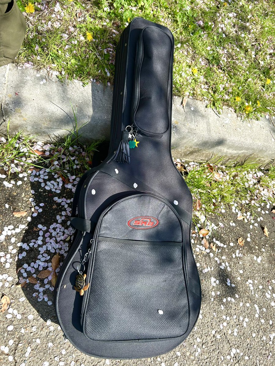 Sentimental Lion / SENtoROI tweet media