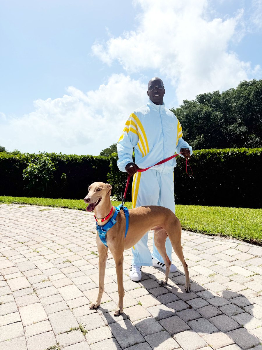 Chad Johnson tweet media