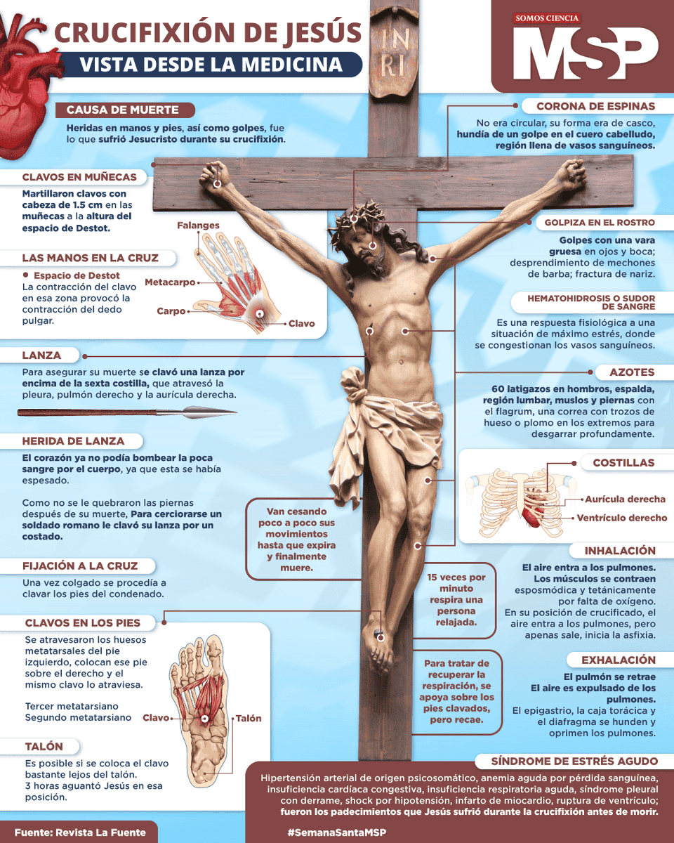 César A. LLaguno G.  🇵🇪 tweet media