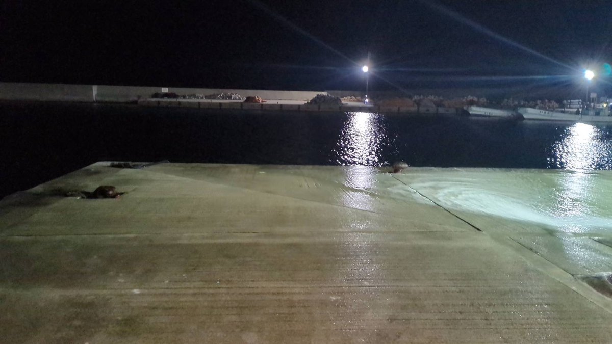 えびよね（蛯米水産加工）塩辛🦑🖤富山 tweet media