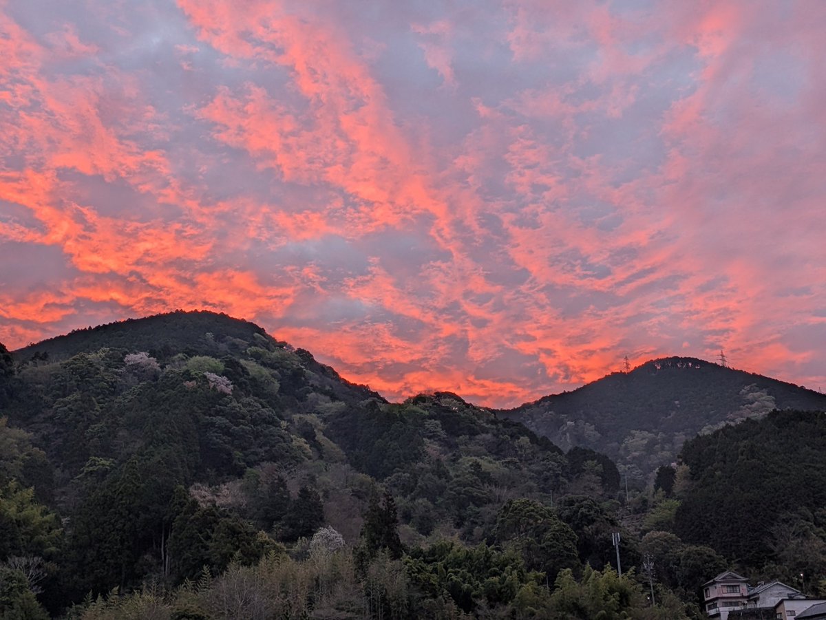 えいくん、 tweet media