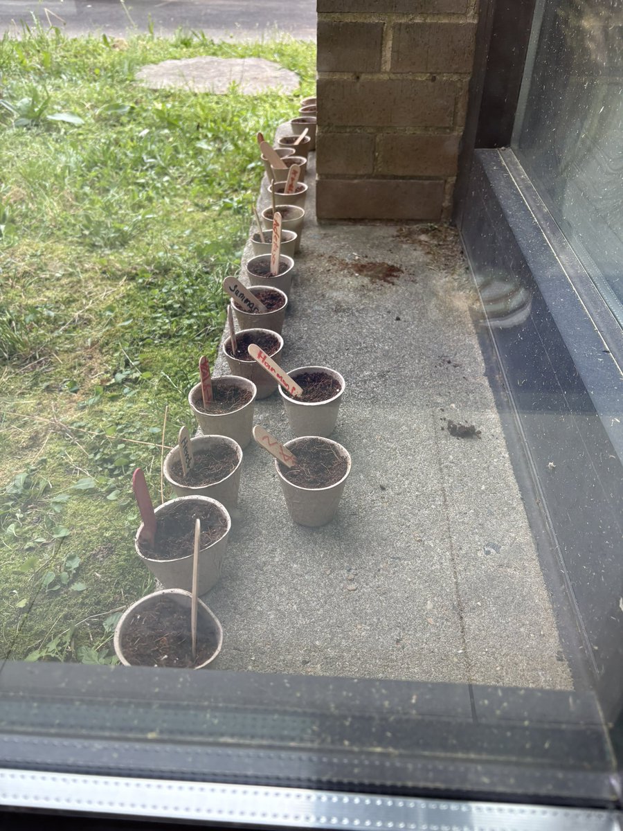 Brittney Burns tweet media