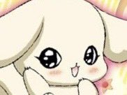 ittybittykitty tweet media