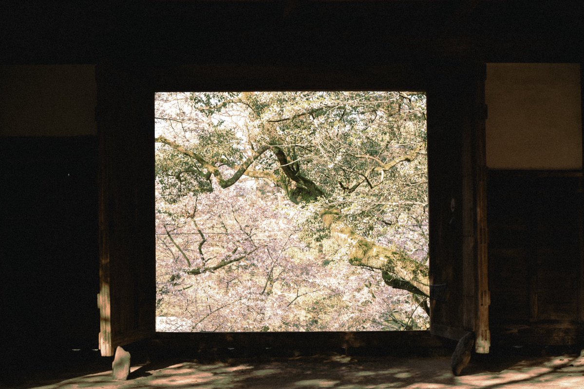 た@福岡 tweet media