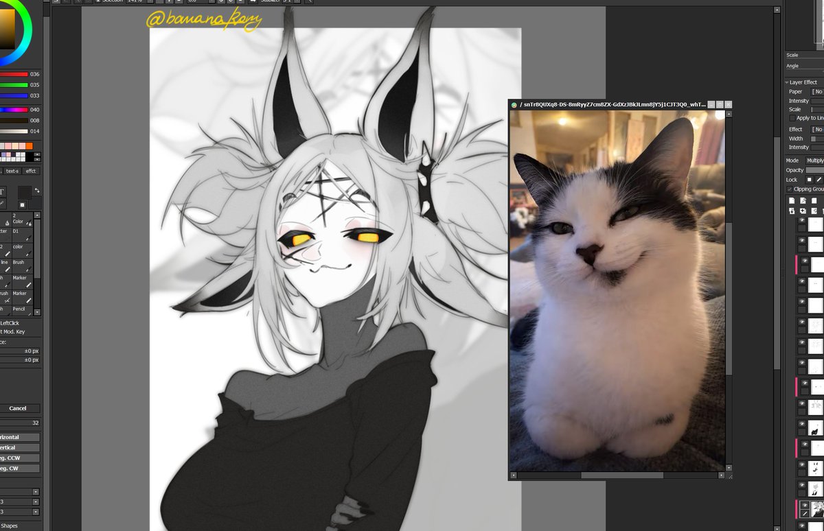 banana_Rory tweet media