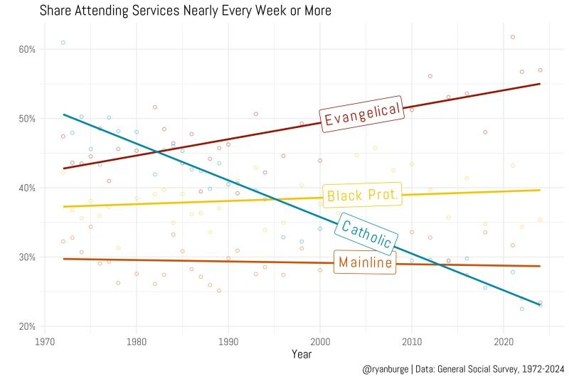 THC Team ☀️ tweet media