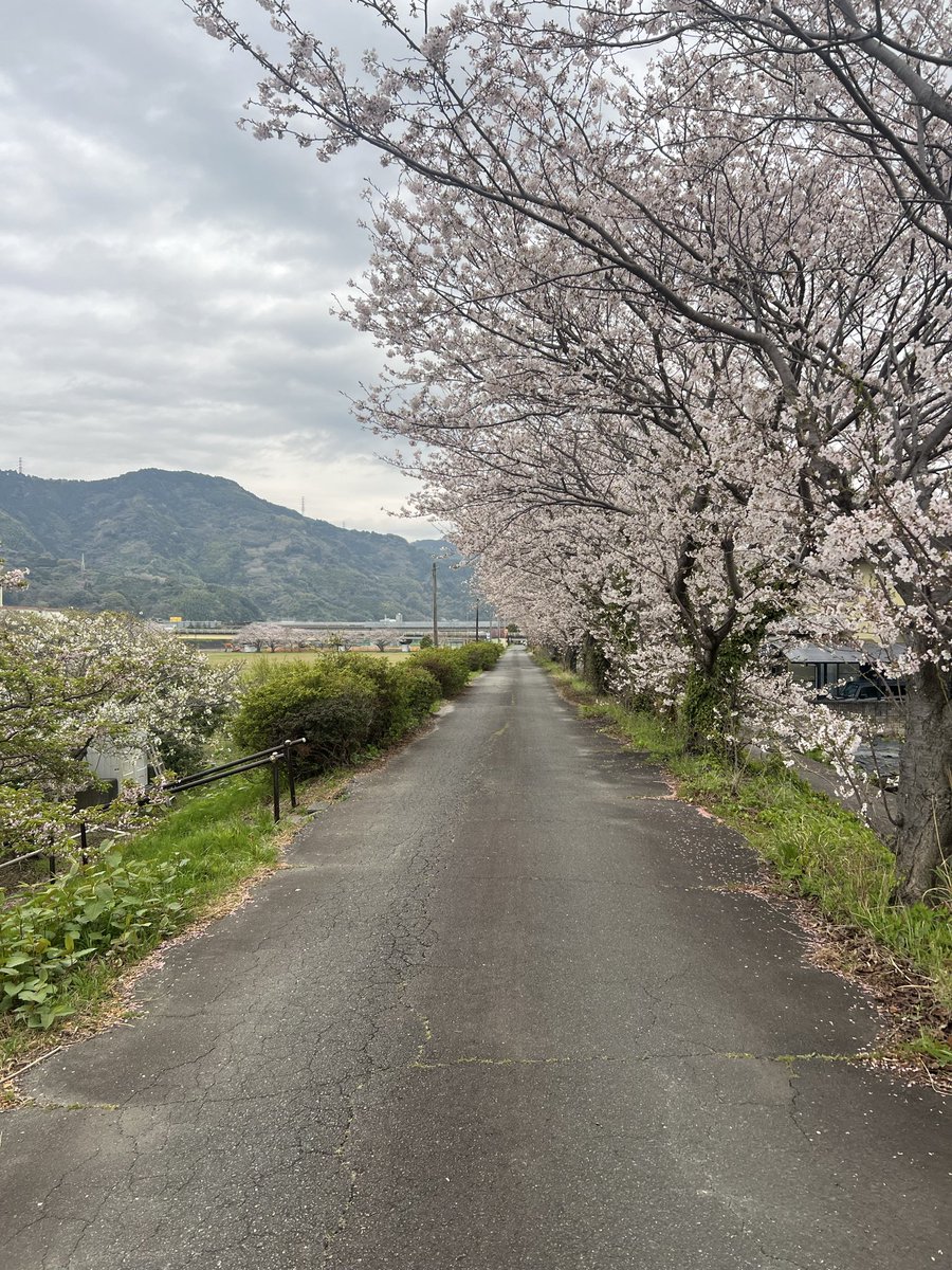 ごらく tweet media