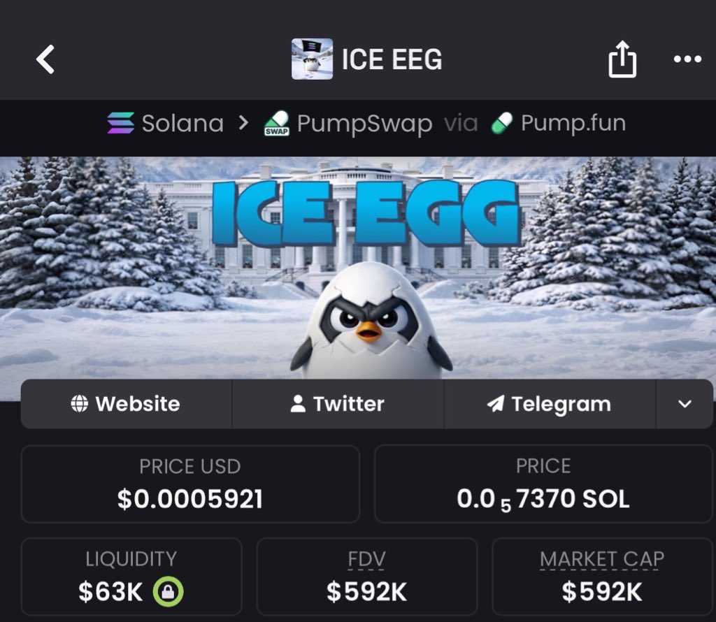 SolanaPrincess tweet media