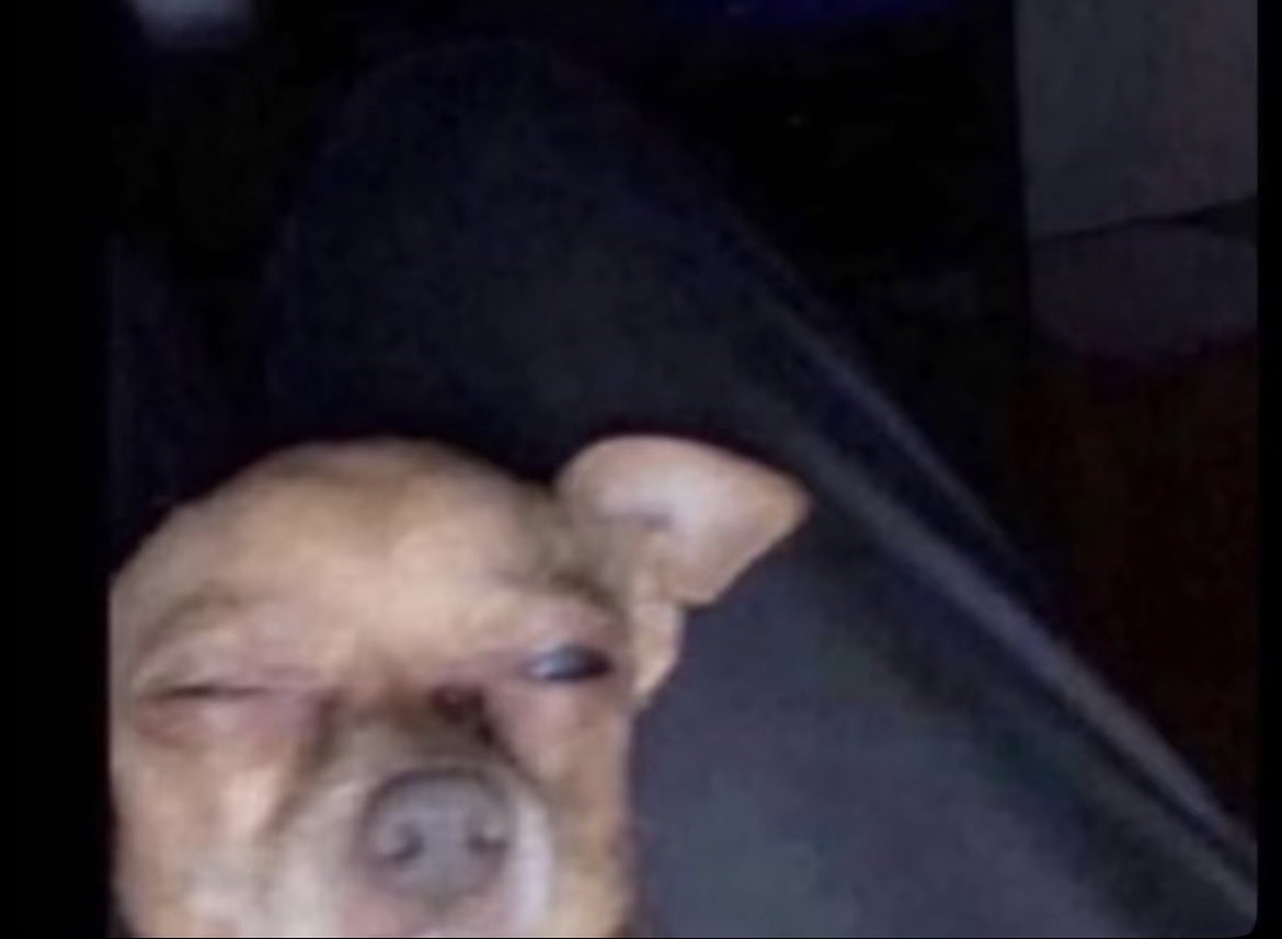 𝐋Ø𝐑Ɗ🔶$𝐏𝐀𝐑𝐑Ø𝐖 tweet media