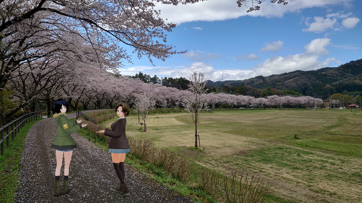 🍊オレンジ🍊 tweet media