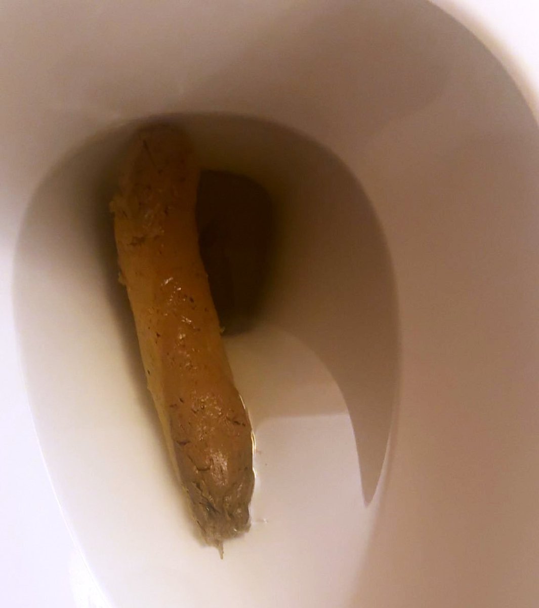 Kitfox Poop Kneel at the bowl. Lean your head in. Kiss my nasty fox shit 🤢 YOU ARE ...