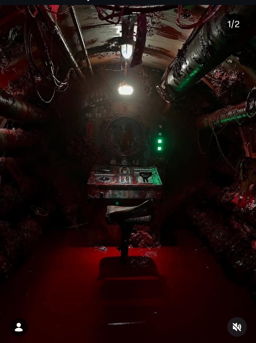 𝔸𝕪𝕝𝕚𝕟🍁★ WATCHED IRON LUNG THREE TIMES!!!🩸🫁 tweet media