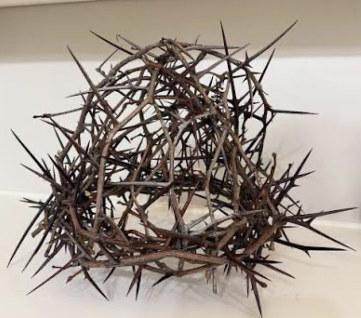 B-rad Brad tweet media