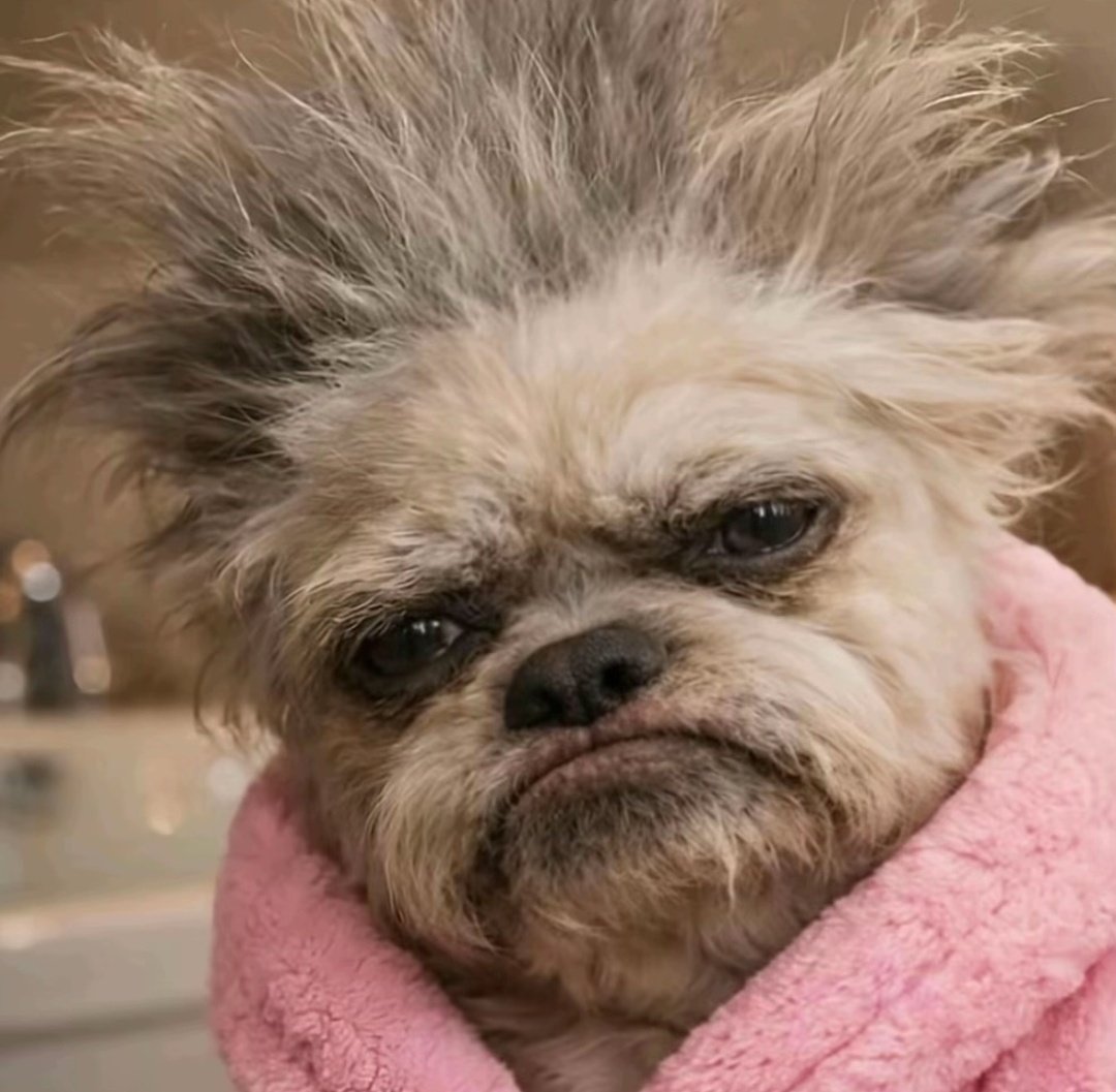 Semaj Lrae 🏁 tweet media