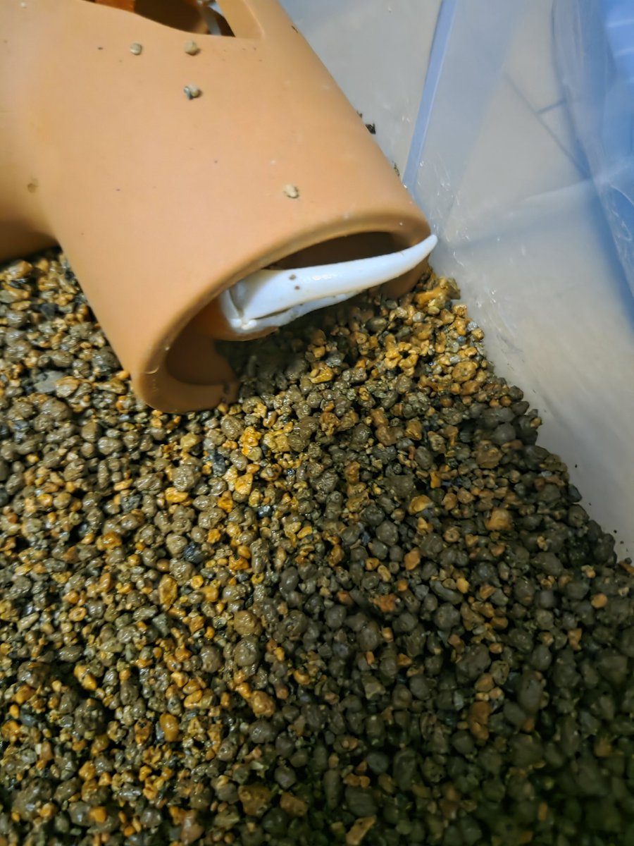 なるみグリム tweet media