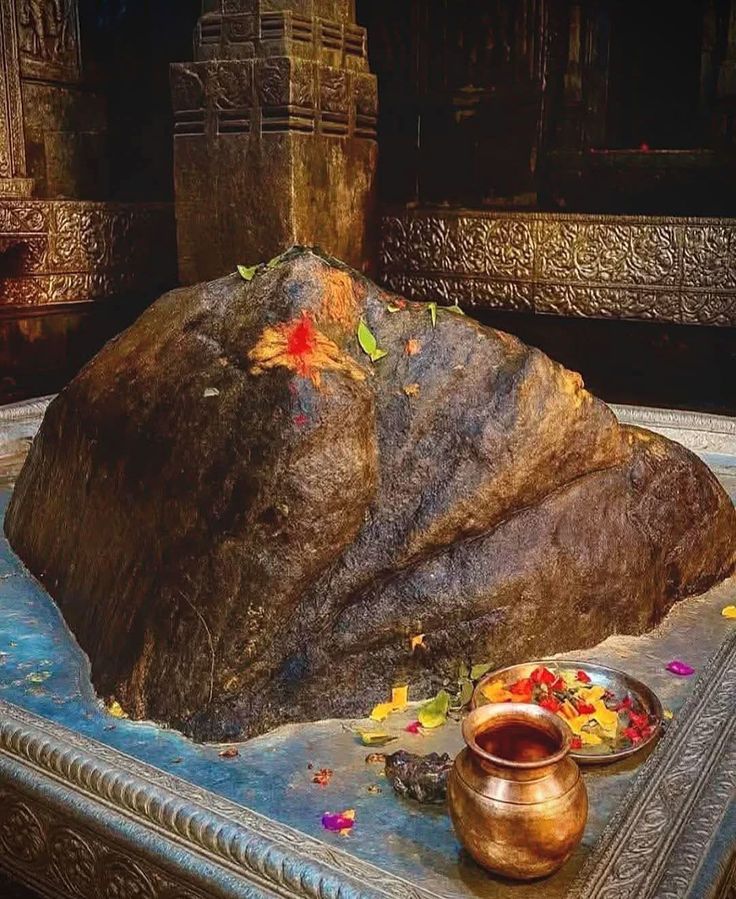 रानी पुरोहित tweet media