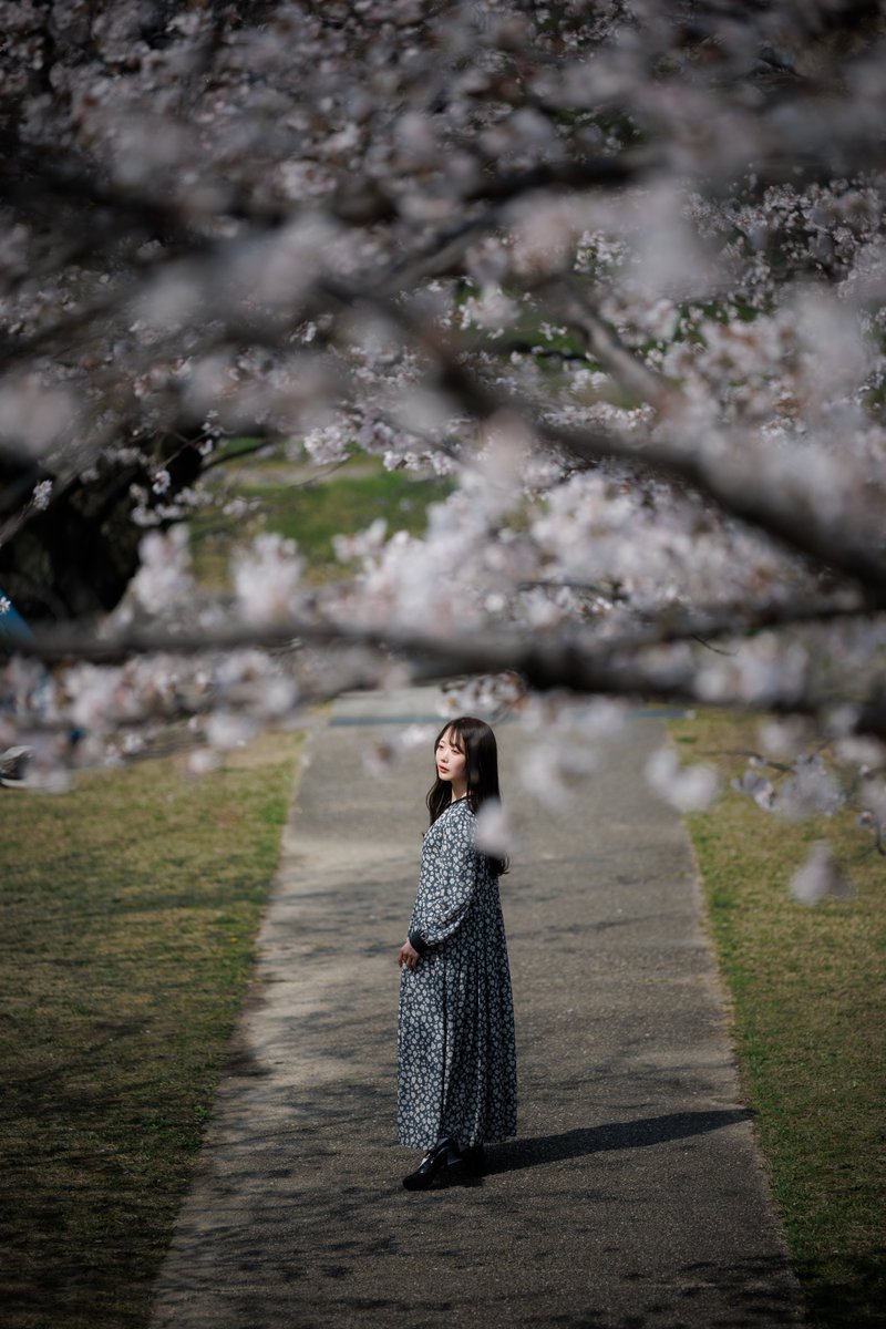 SiraSaki tweet media