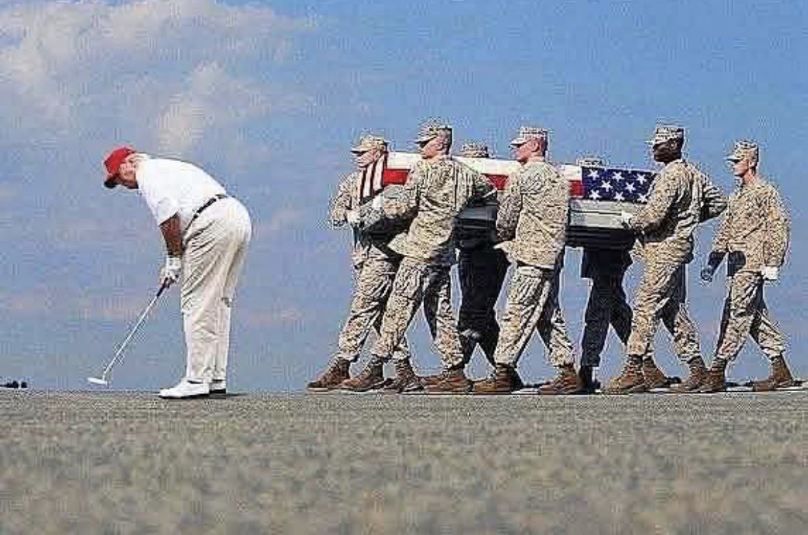 tigerstorm 🇺🇸 tweet media