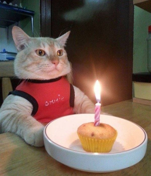 𝘒𝘊𝘉𝘚 𝘝𝘪𝘤𝘰 🪐 tweet media