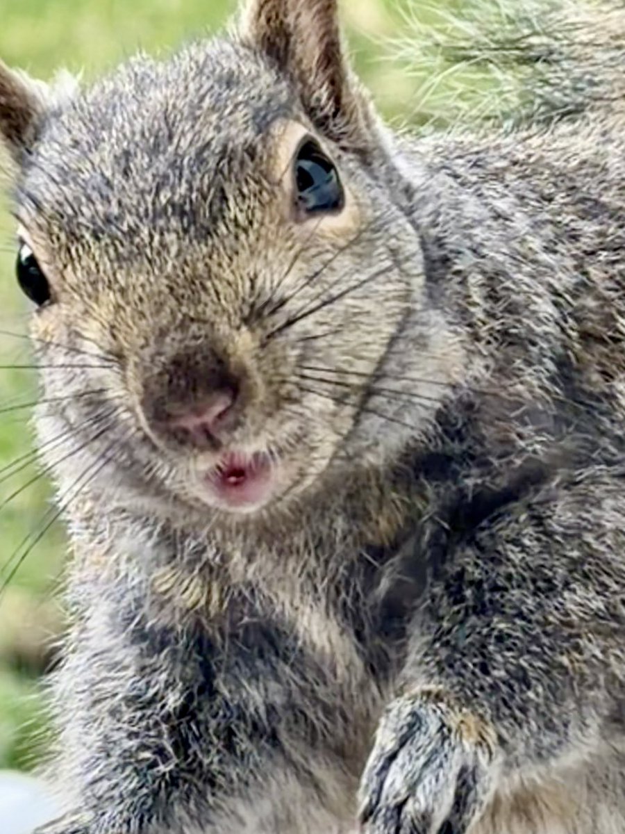 𝚏𝚊𝚋𝚒𝚘 tweet media