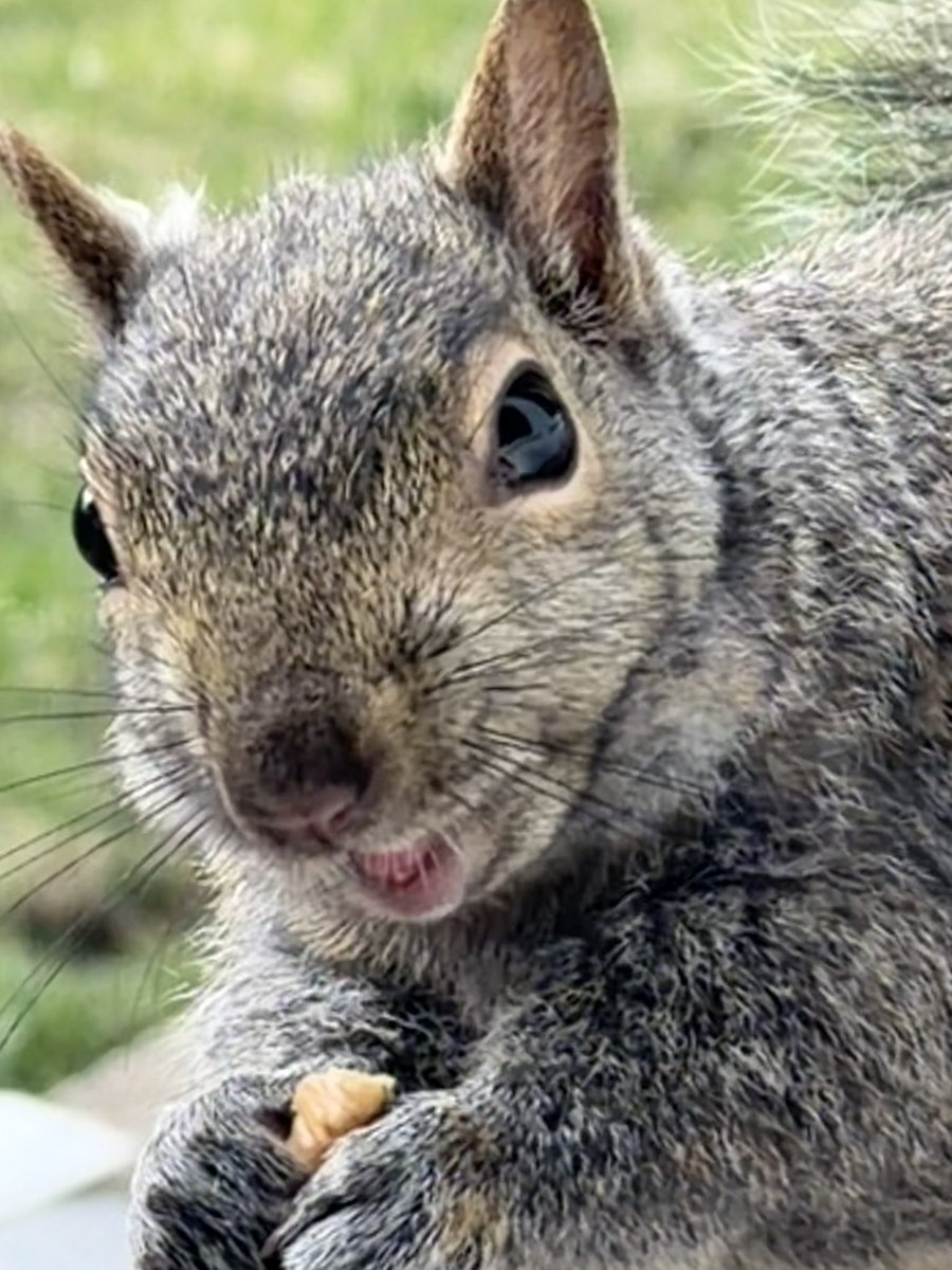 𝚏𝚊𝚋𝚒𝚘 tweet media