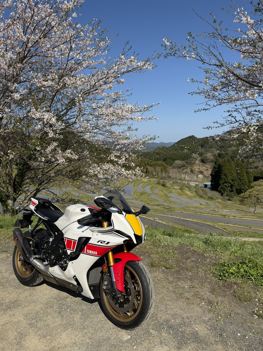 えりっく tweet media