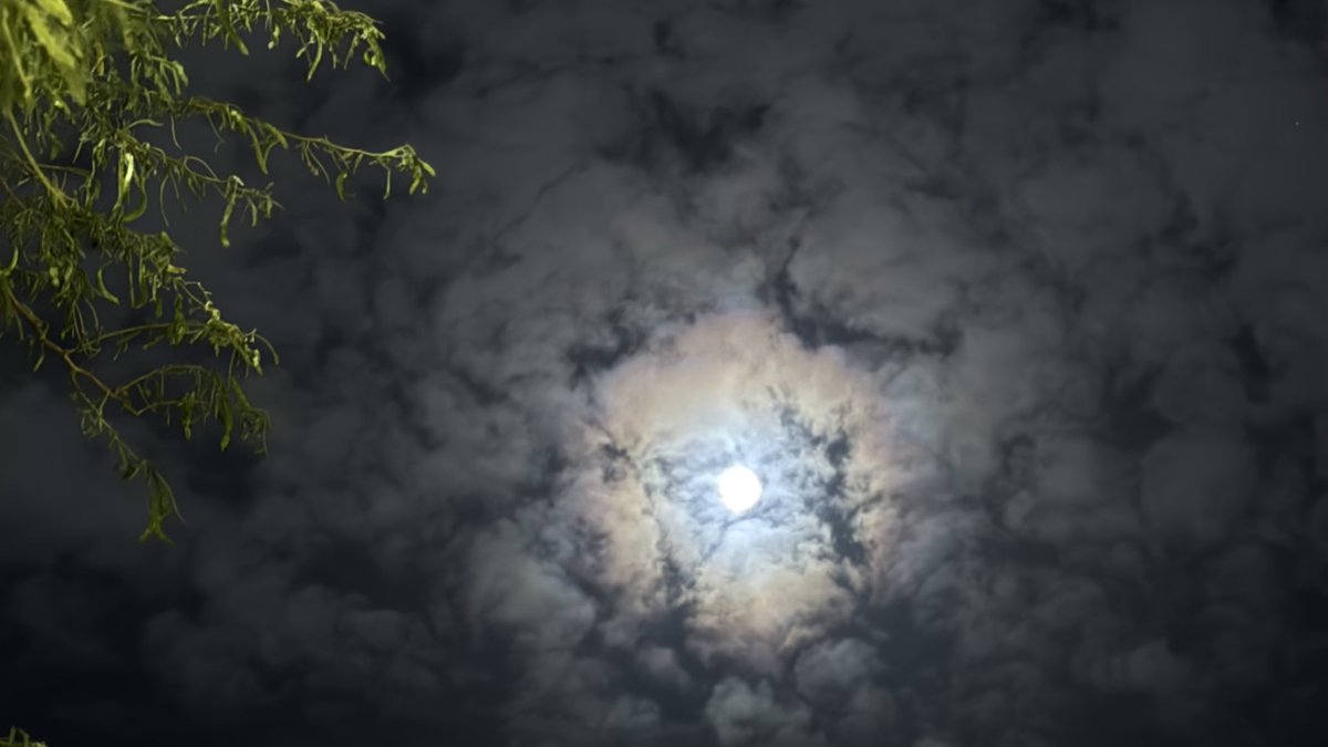 دوسَر. tweet media