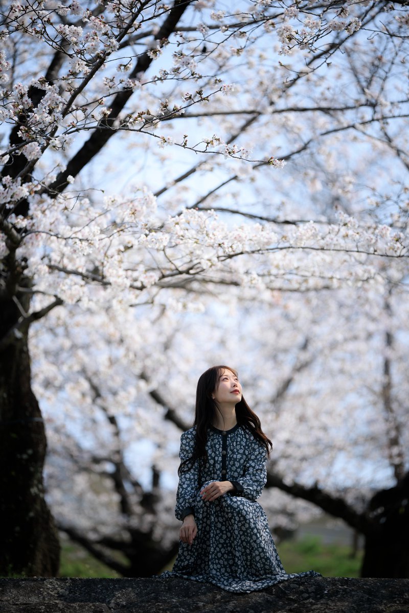 SiraSaki tweet media