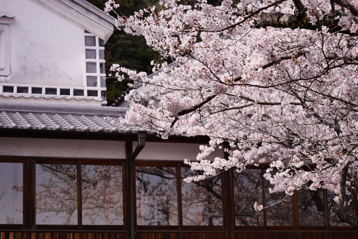 火と水。 tweet media