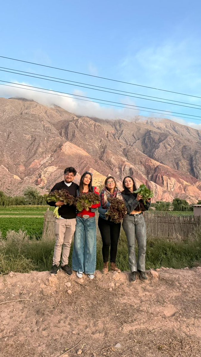 Luz 🌟 | Data tweet media